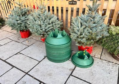 Christmas trees for sale at Cackle Hill Lakes Christmas Shop, Biddenden, Kent.